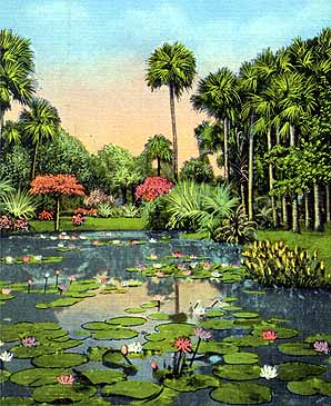 Old McKee Botanical Garden Postcard